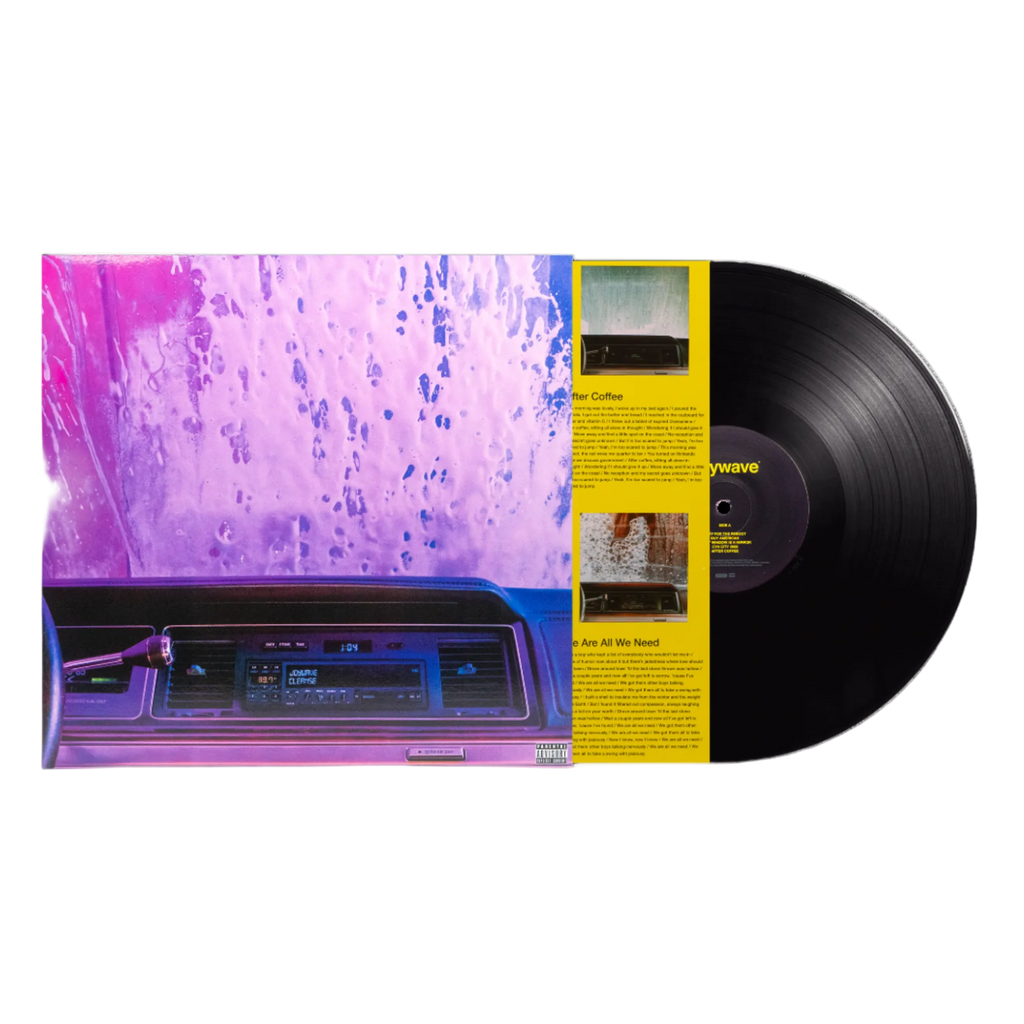 Cleanse (LP)