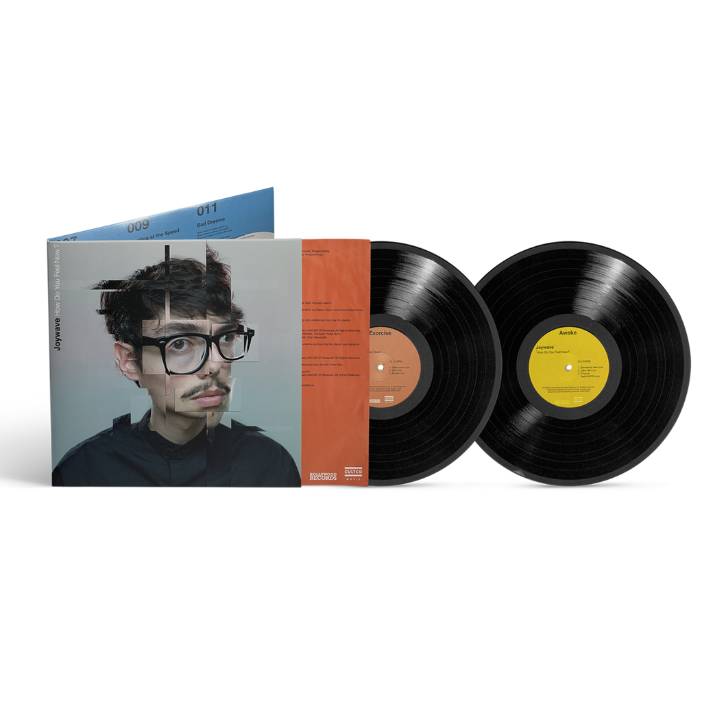 How Do You Feel Now? (LP)