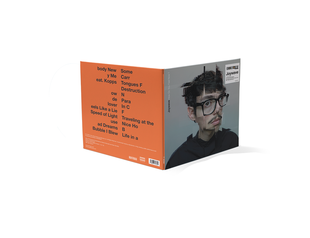 How Do You Feel Now? (LP)
