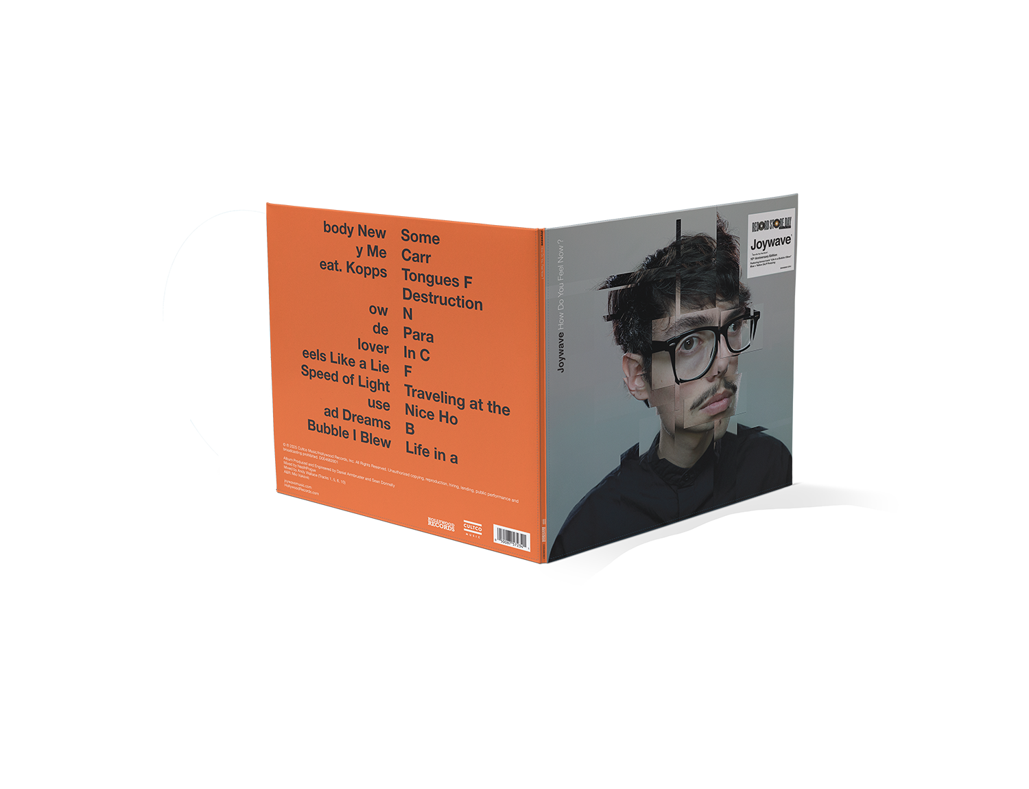 How Do You Feel Now? (LP)