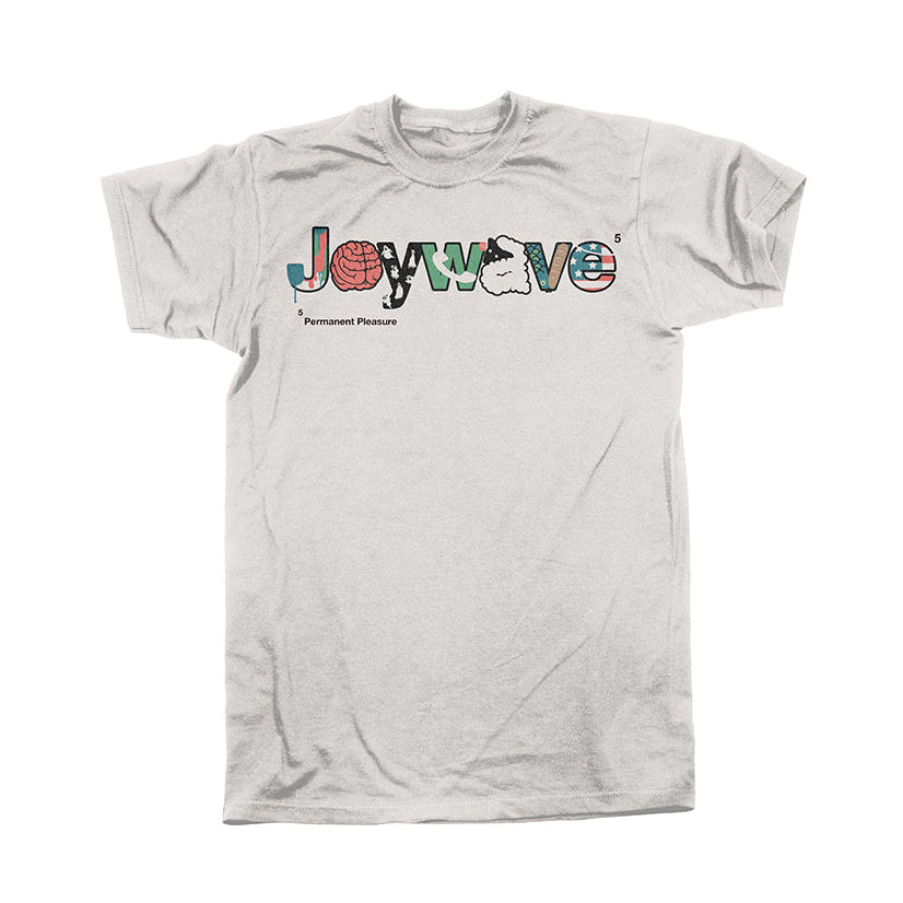 Footnote 5 Tee - Puff Ink